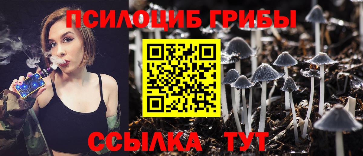 Псилоцибиновые грибы GOLDEN TEACHER  Галлюциногенные грибы ЛСД  Мичуринск  Вход с VPN 